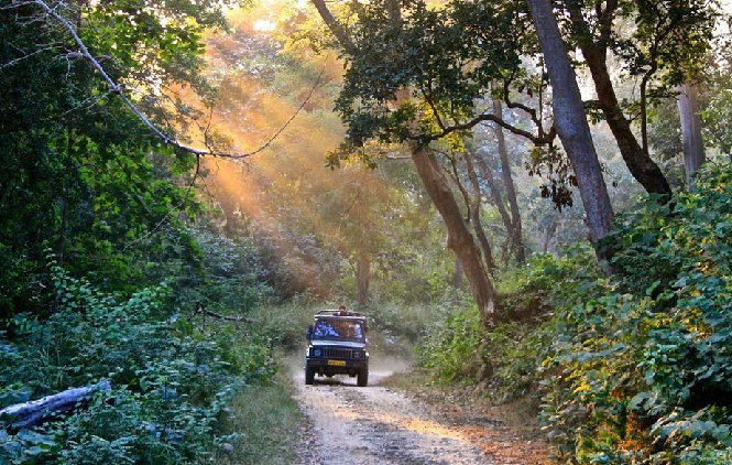 corbett travel safari